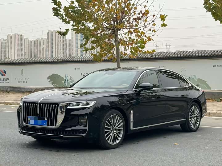 Фото 1 - Hongqi H9