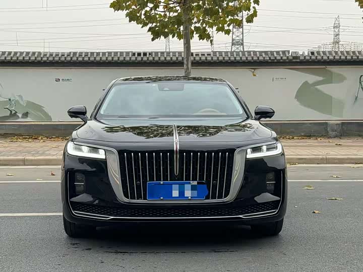 Фото 2 - Hongqi H9