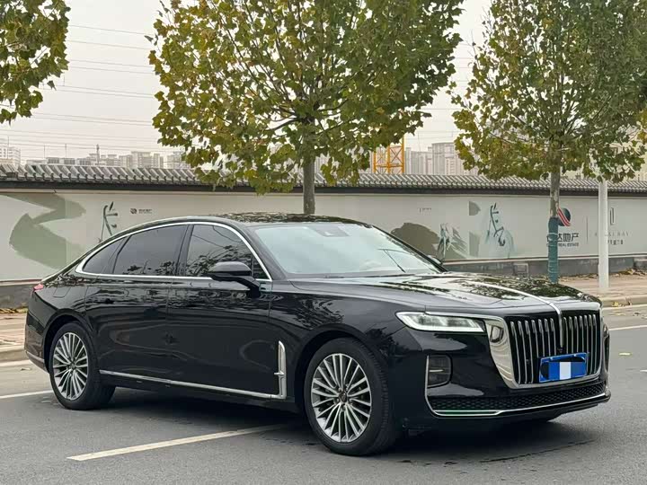 Фото 3 - Hongqi H9