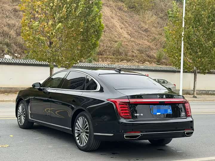 Фото 7 - Hongqi H9