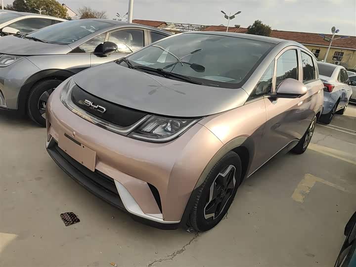 Фото 2 - BYD Dolphin