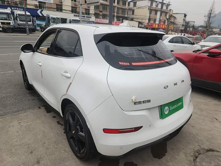 Фото 5 - Ora Good Cat (03)