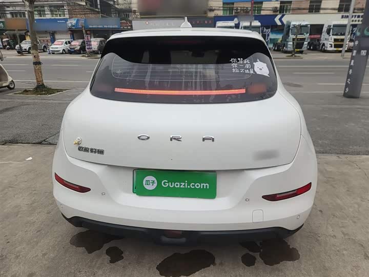 Фото 6 - Ora Good Cat (03)