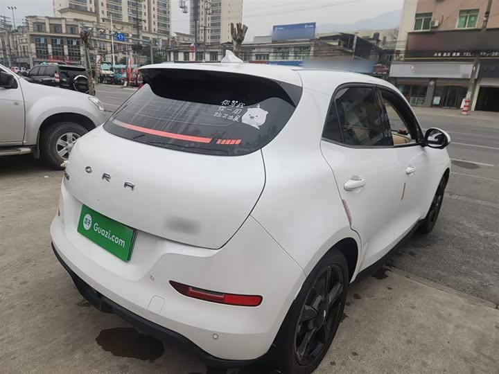 Фото 7 - Ora Good Cat (03)