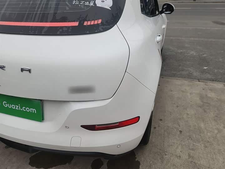 Фото 8 - Ora Good Cat (03)