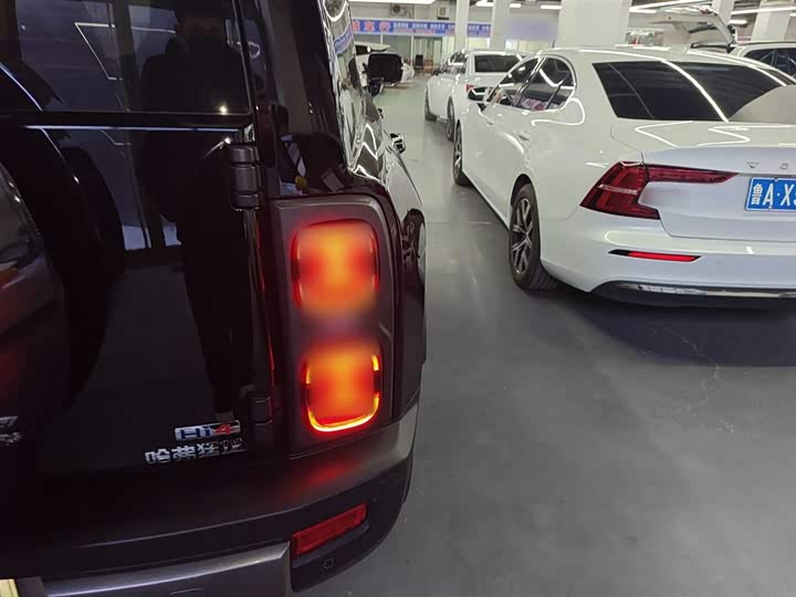 Фото 8 - Haval Raptor Hybrid