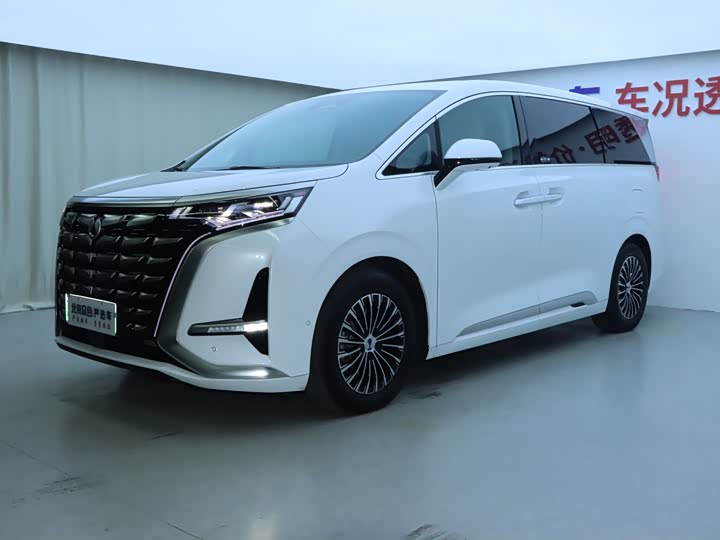 Фото 1 - Denza D9