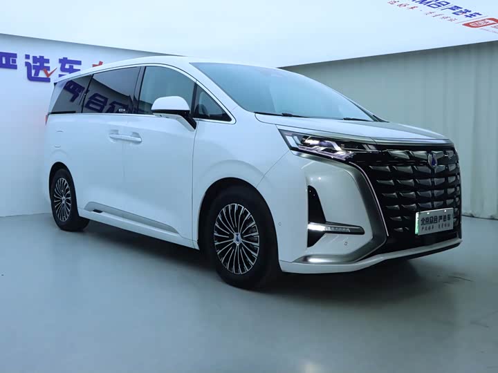 Фото 2 - Denza D9