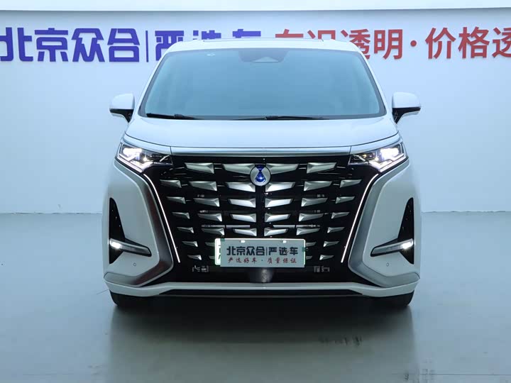 Фото 3 - Denza D9