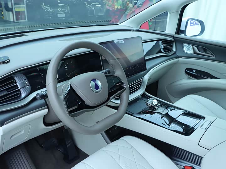 Фото 6 - Denza D9