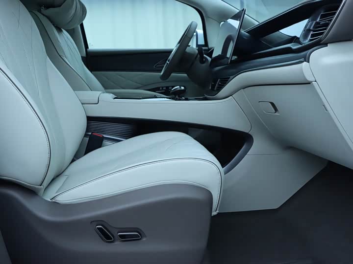 Фото 8 - Denza D9