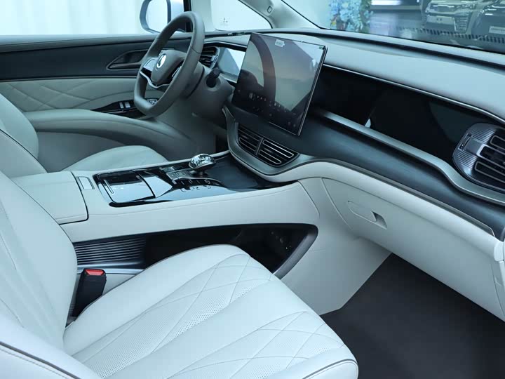 Фото 9 - Denza D9