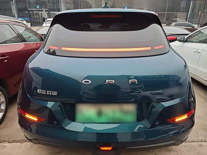 Фото 6 - Ora Good Cat (03)