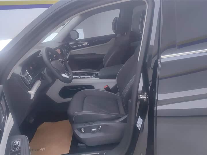 Фото 9 - Volkswagen Teramont Pro