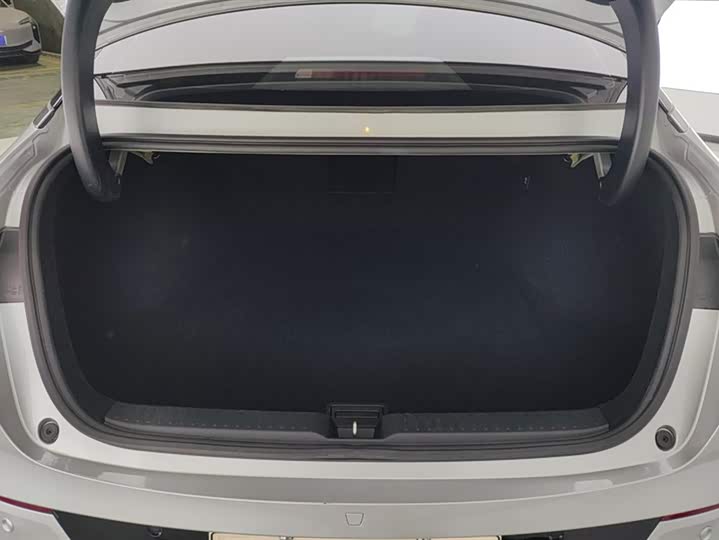 Фото 4 - XPeng P5