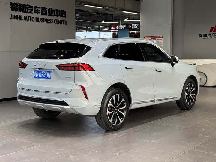 Фото 5 - Wey Mocha