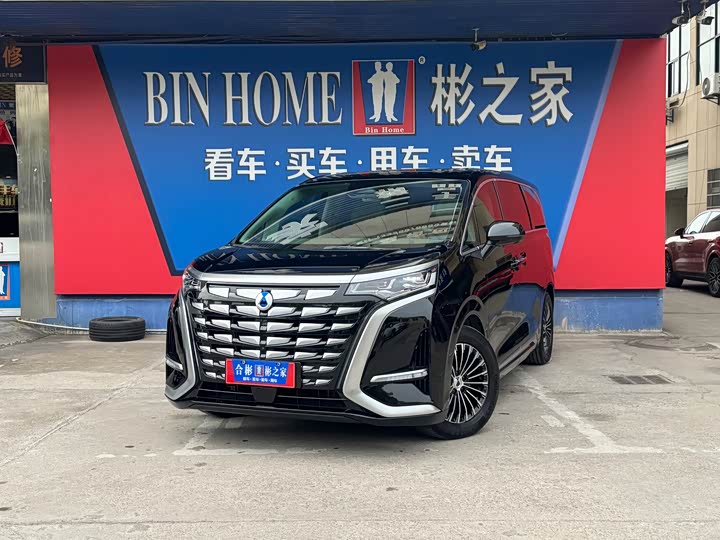 Фото 1 - Denza D9