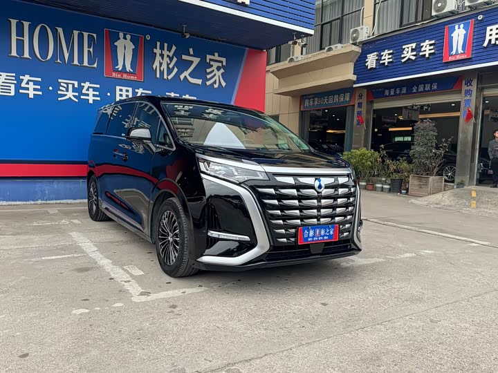 Фото 3 - Denza D9