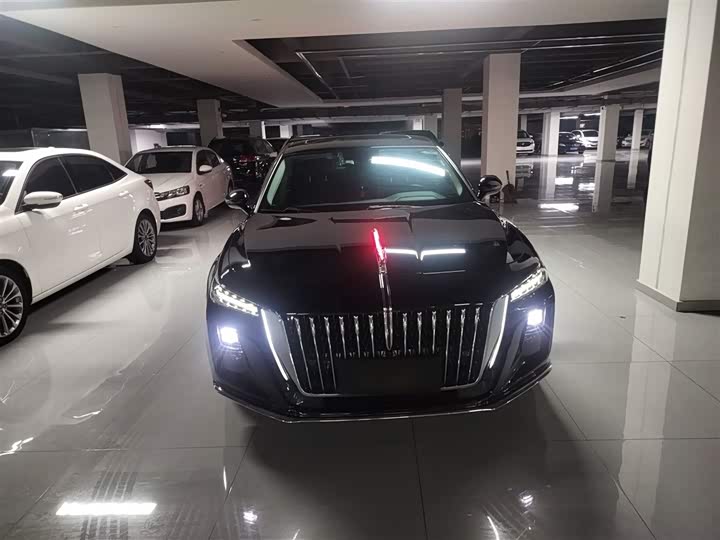 Фото 3 - Hongqi H5