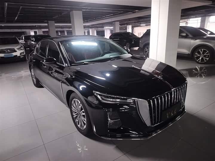 Фото 4 - Hongqi H5