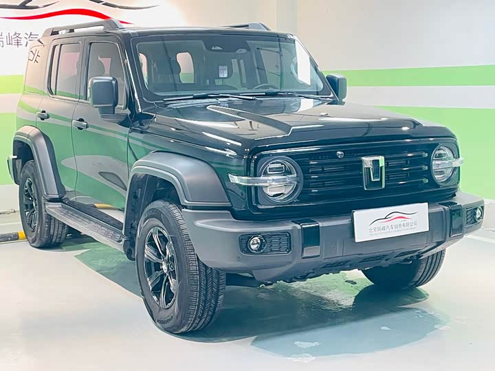 Фото 3 - Tank 300