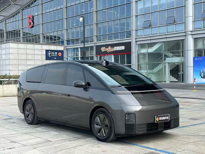 Фото 3 - LiXiang Mega