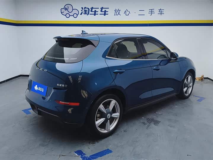 Фото 3 - Ora Good Cat (03)