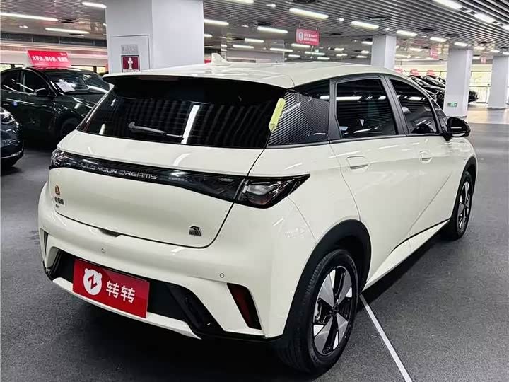 Фото 4 - BYD Dolphin