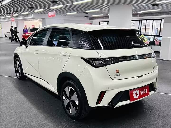 Фото 6 - BYD Dolphin