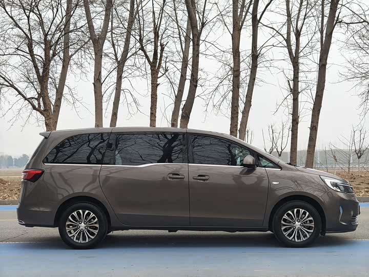 Фото 4 - Buick GL8 ES