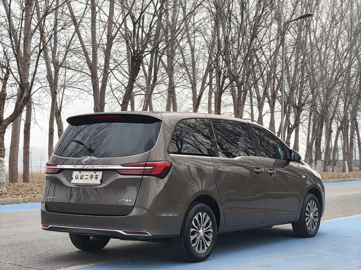 Фото 5 - Buick GL8 ES