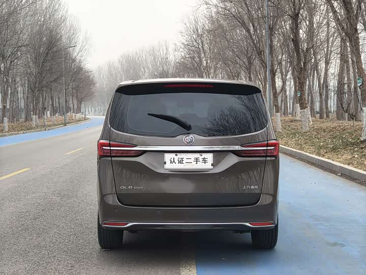 Фото 6 - Buick GL8 ES