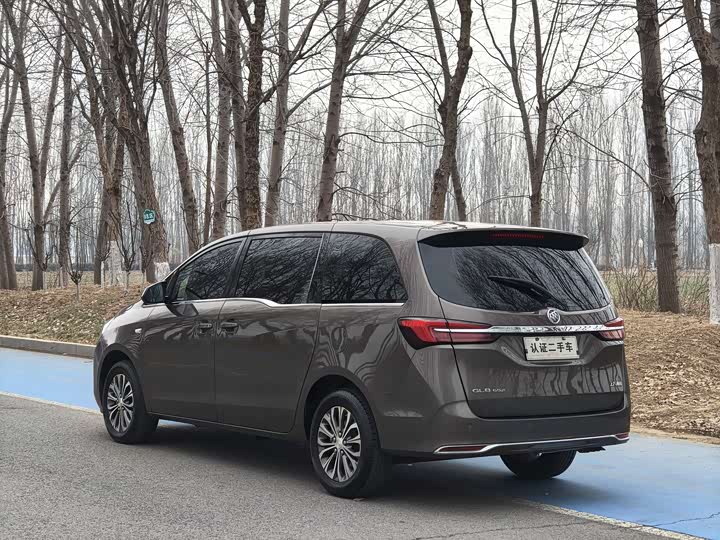 Фото 7 - Buick GL8 ES