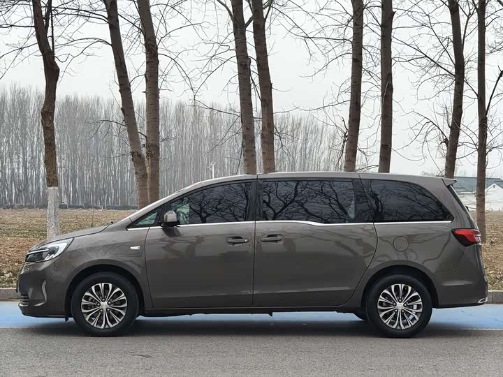 Фото 8 - Buick GL8 ES