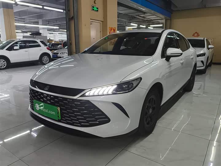 Фото 2 - BYD Qin Plus