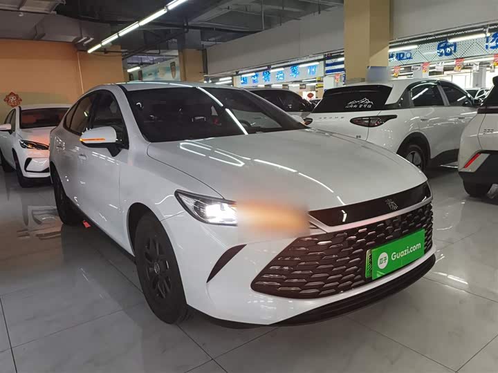 Фото 4 - BYD Qin Plus