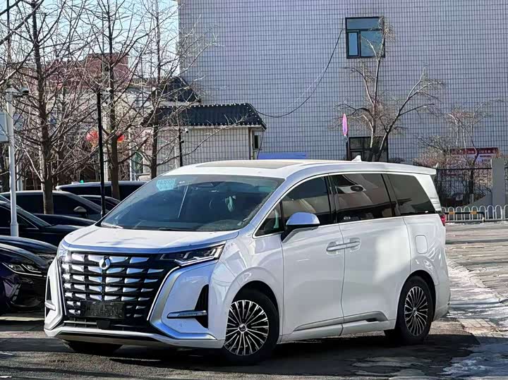 Фото 1 - Denza D9