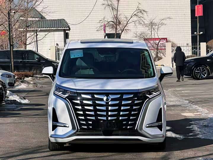 Фото 2 - Denza D9