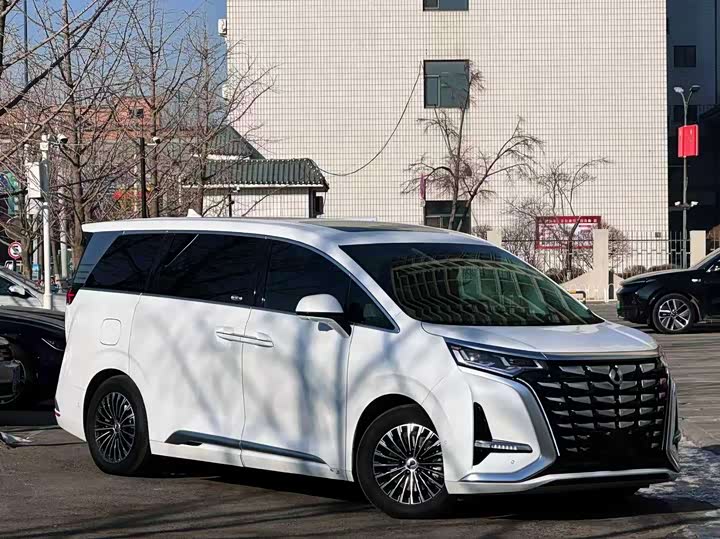 Фото 3 - Denza D9