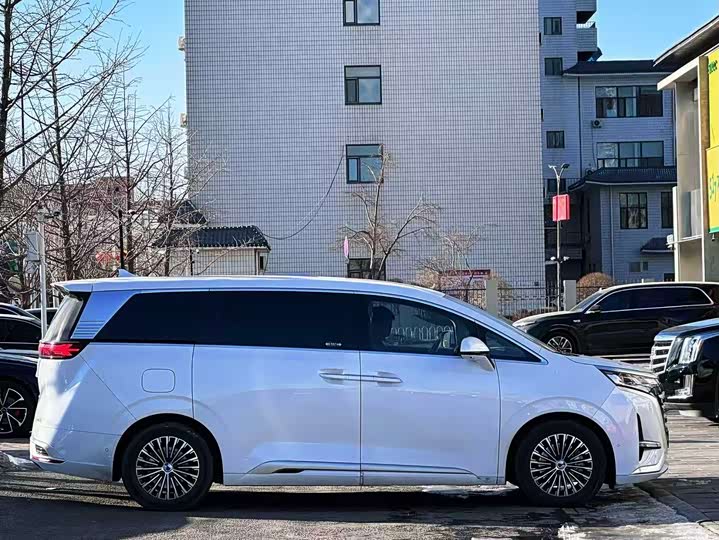 Фото 4 - Denza D9