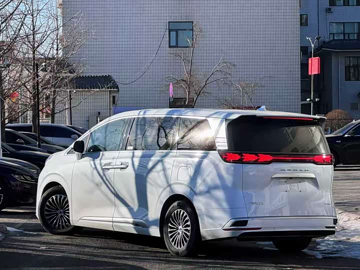 Фото 6 - Denza D9