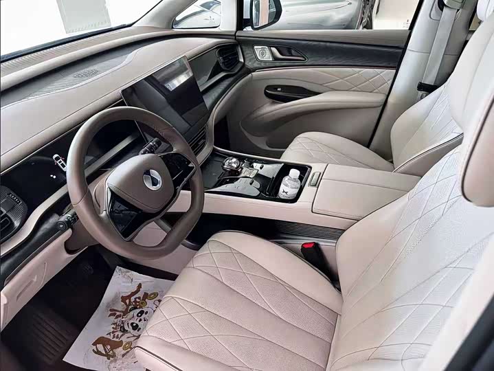 Фото 9 - Denza D9