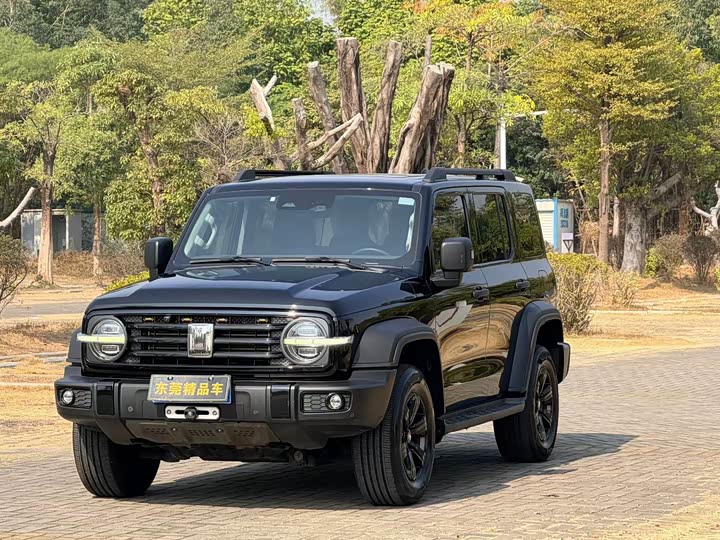 Фото 3 - Tank 300