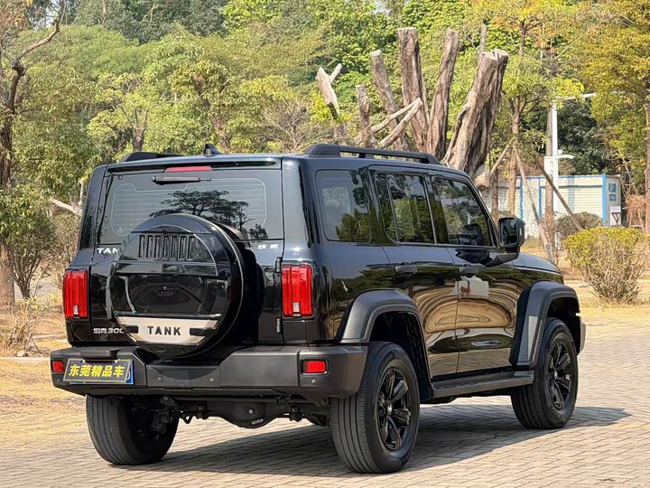 Фото 4 - Tank 300