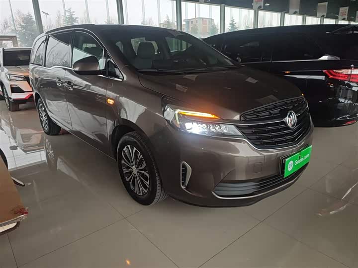 Фото 4 - Buick GL8 ES