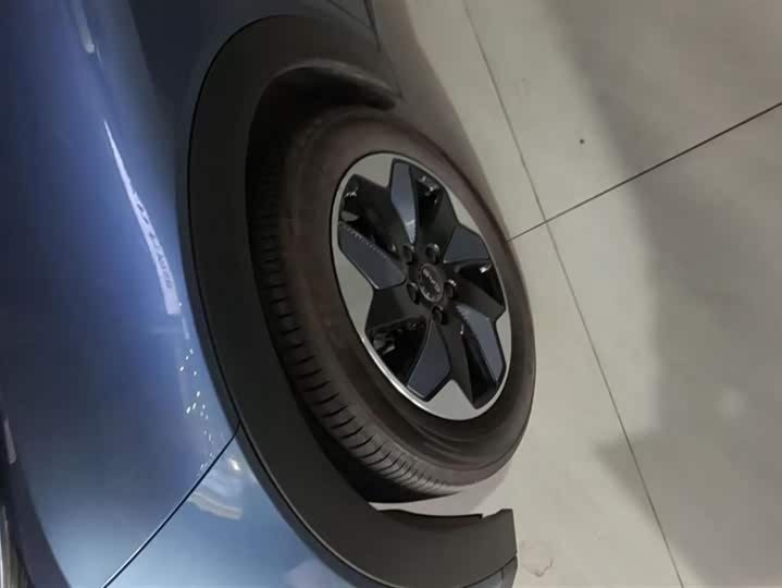 Фото 6 - BYD Dolphin