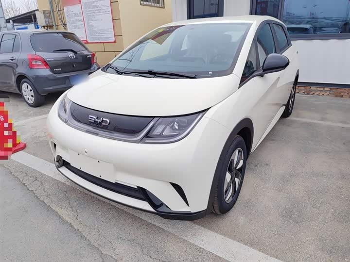 Фото 2 - BYD Dolphin