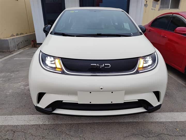 Фото 3 - BYD Dolphin