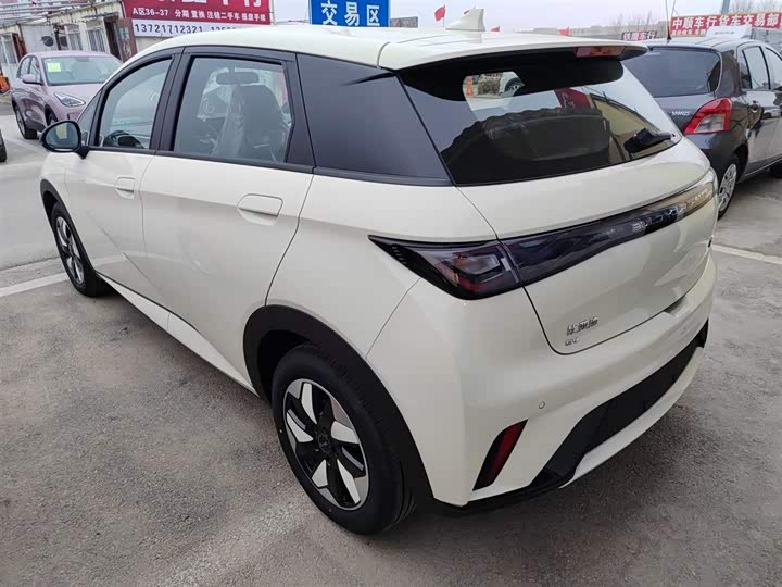 Фото 5 - BYD Dolphin