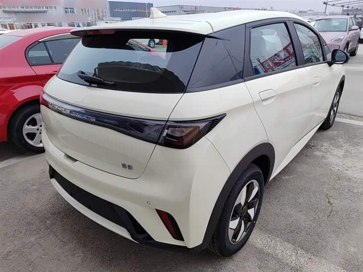 Фото 7 - BYD Dolphin